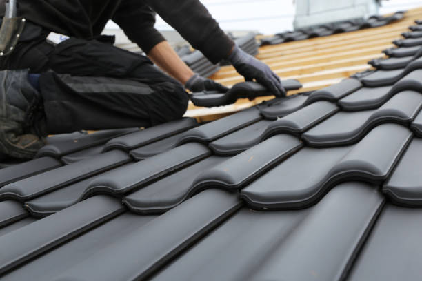 Best Roof Installation  in Stevensville, MI